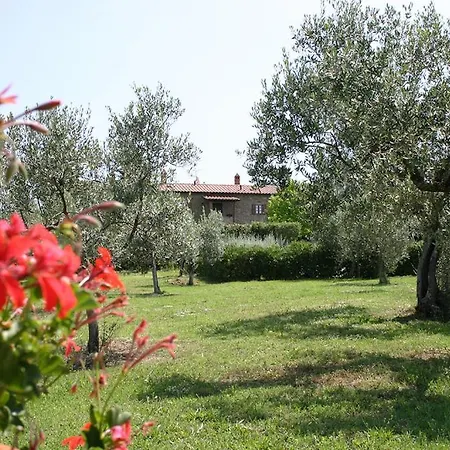 Cortoreggio Venkovský dům Cortona